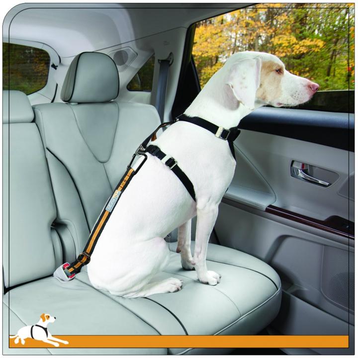 Calming chews with all-natural botanicals to relieve anxiety with no harmful side effects
