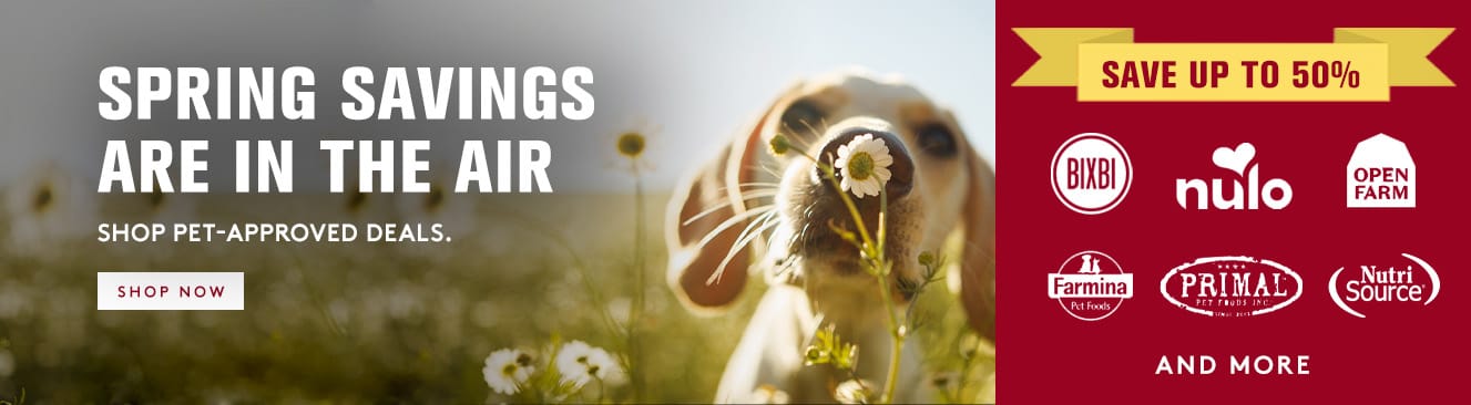 Promotional banner for spring savings with a dog holding a flower in a field.