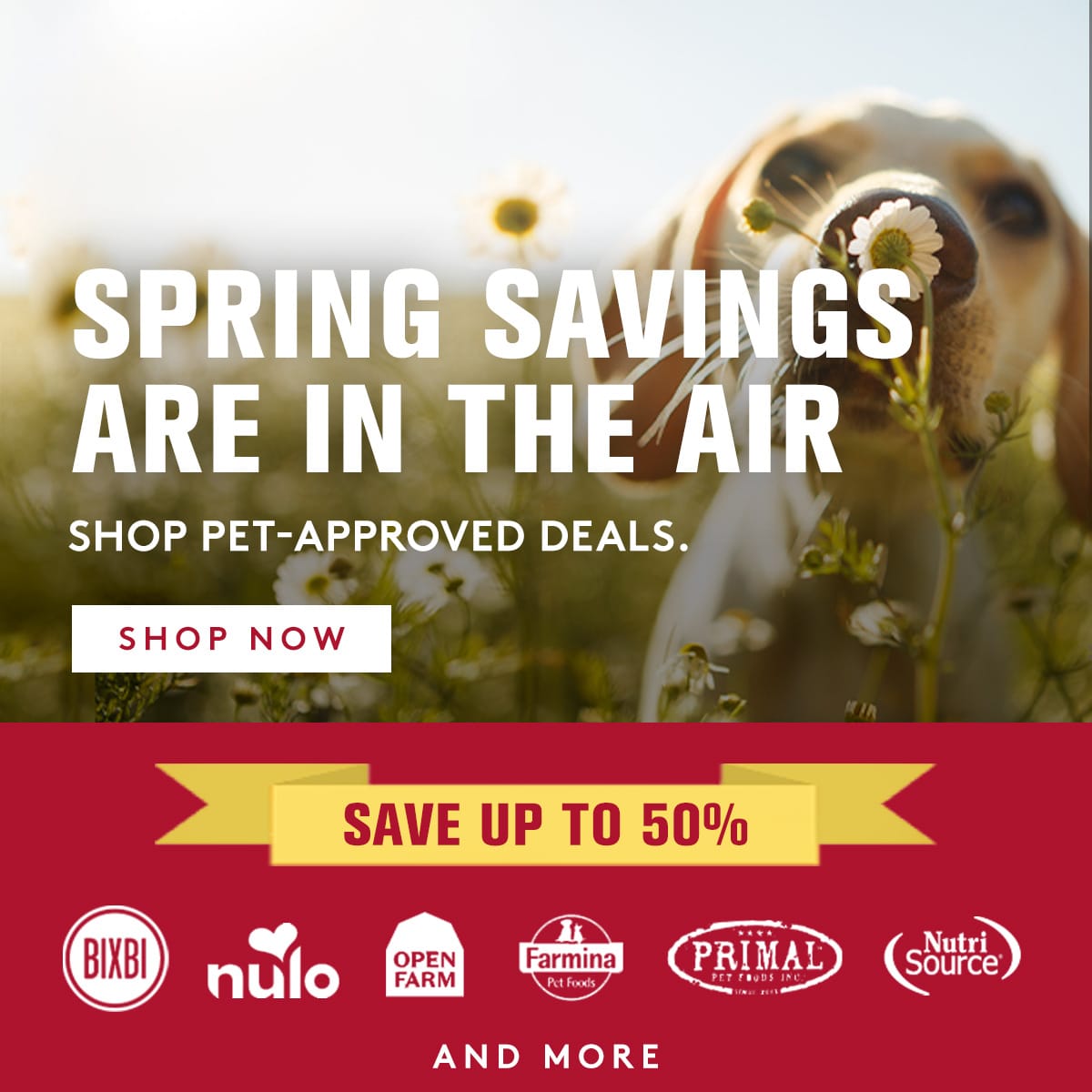 Promotional banner with a dog sniffing flowers, text about spring savings and pet-approved deals, and brand logos at the bottom.