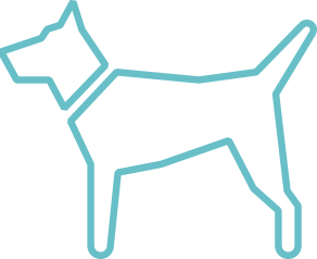 six things to think about when thinking dog food