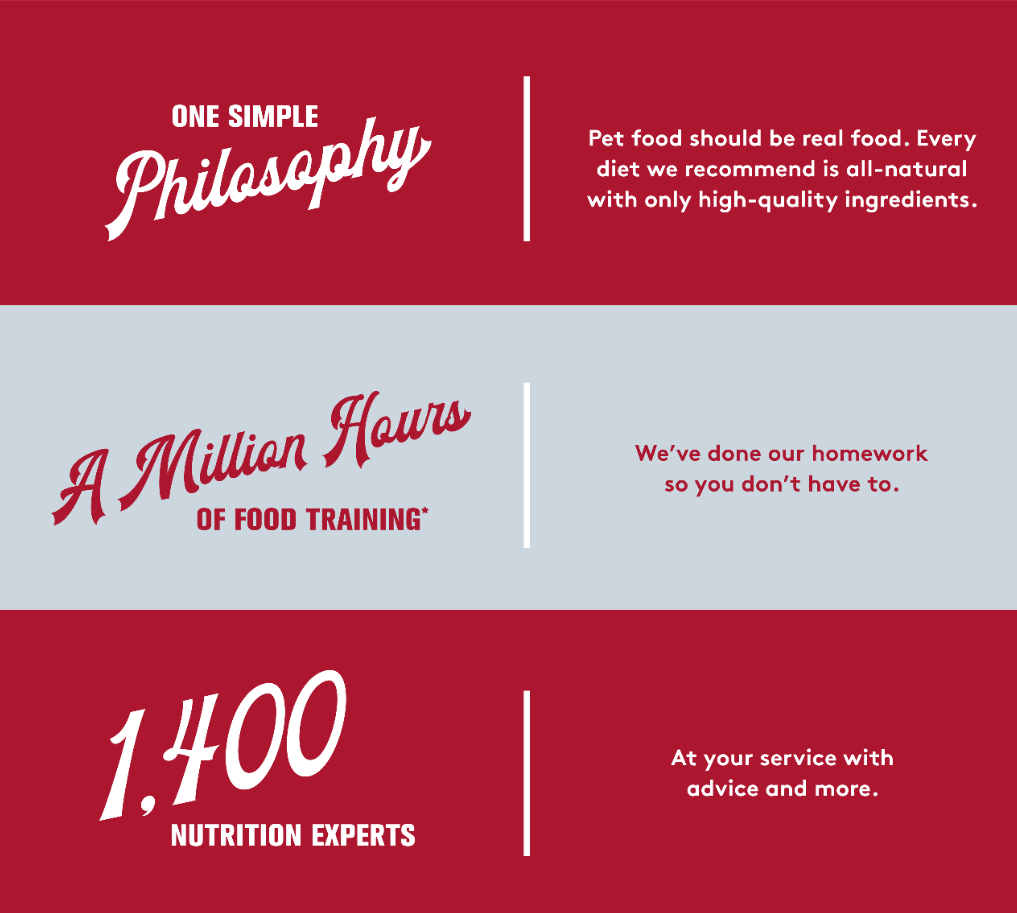 foodies info board